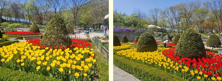 식물원 여기저기 모습